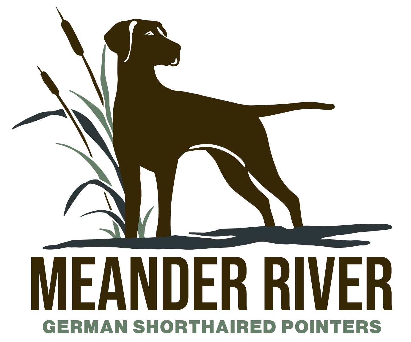 Meander River German Shorthaired Pointers